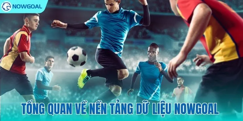 Tổng quan về hệ sinh thái dữ liệu NOWGOAL